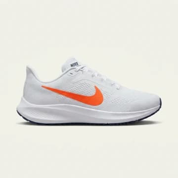 Nike Pegasus 41